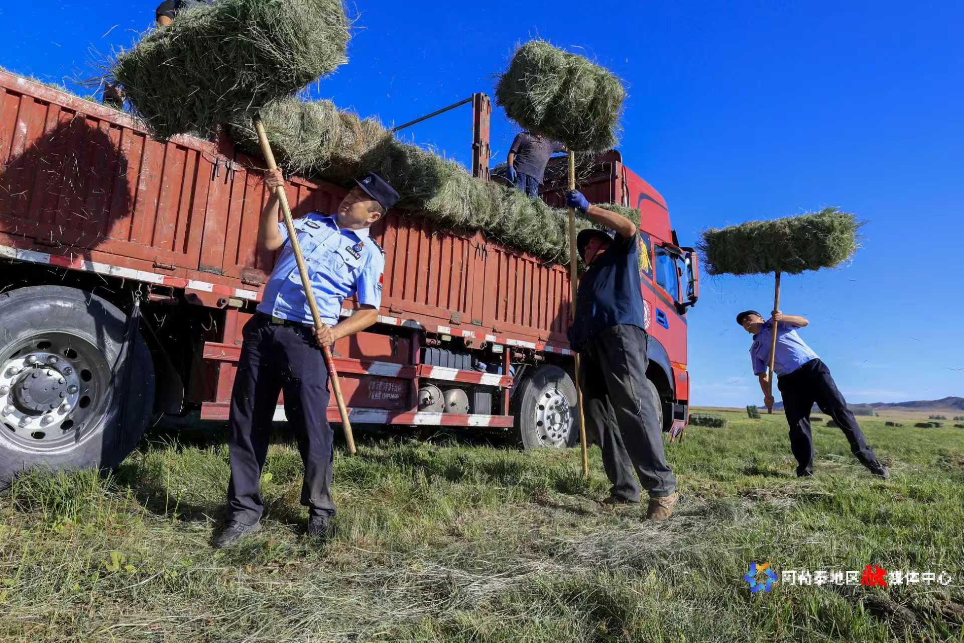 mmexport1754372416786