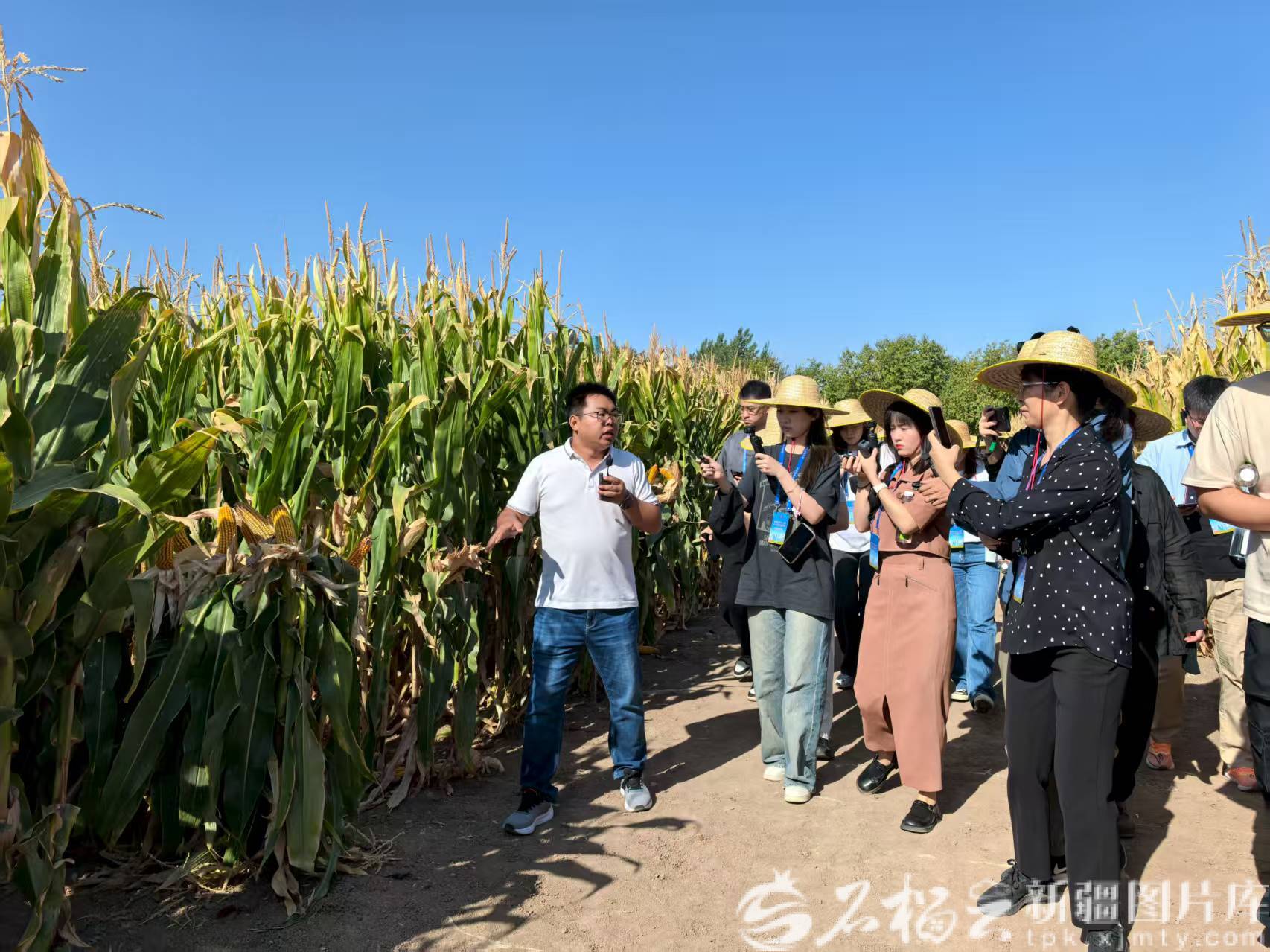 mmexport1757505137325